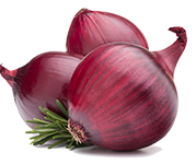 Onion